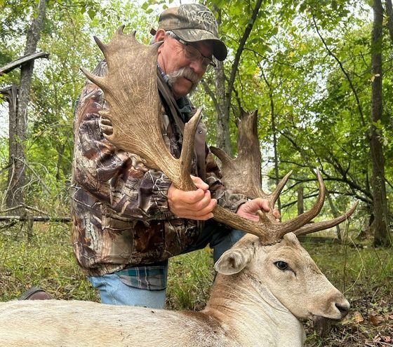 Iowa hunting preserve Northstar Gameland, Whitetail deer hunting, ram hunting, elk hunting, buffalo hunting