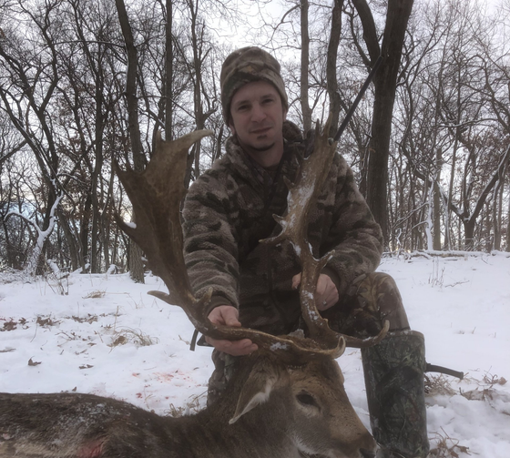 Iowa hunting preserve Northstar Gameland, Whitetail deer hunting, ram hunting, elk hunting, buffalo hunting