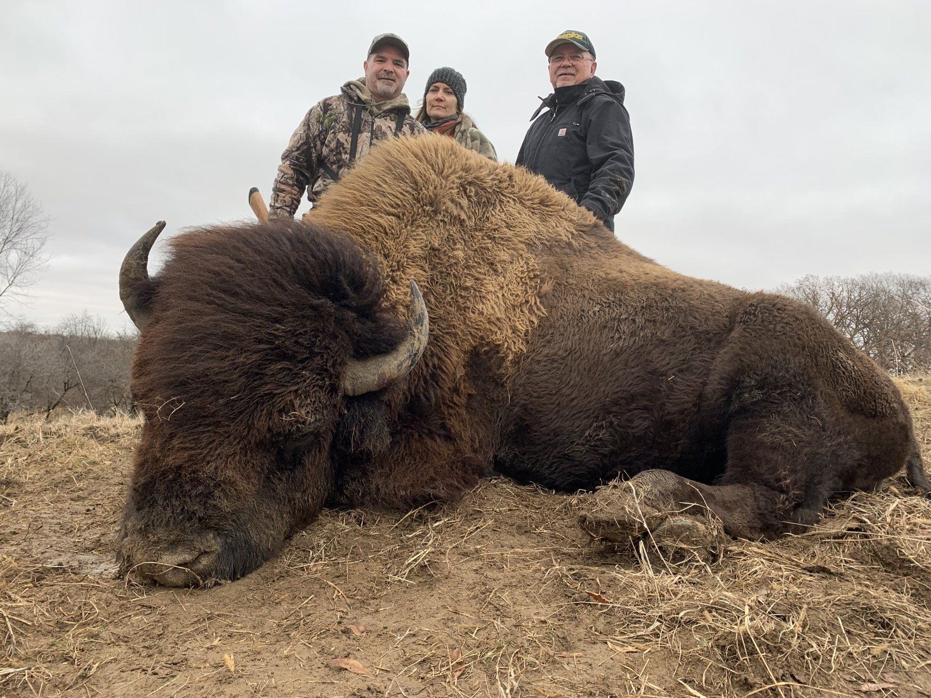 Whitetail deer hunting Iowa, North star gameland hunting preserve, elk hunting, ram hunting, buffalo hunting, elk hunting, fallow deer, sitka deer, hog