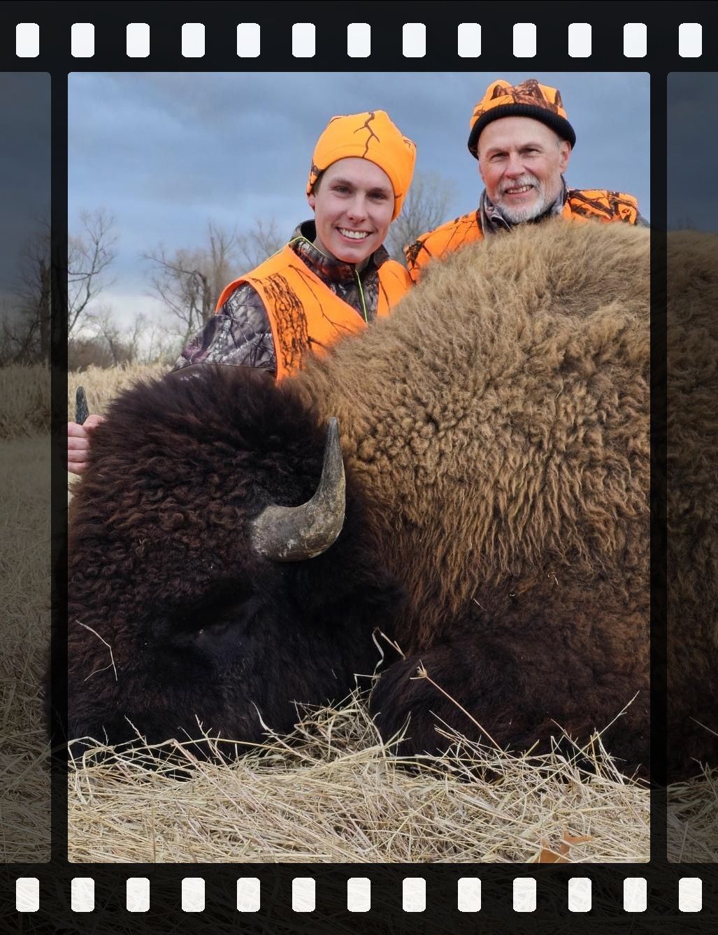 Buffalo hunting, buffalo hunt, hog hunting