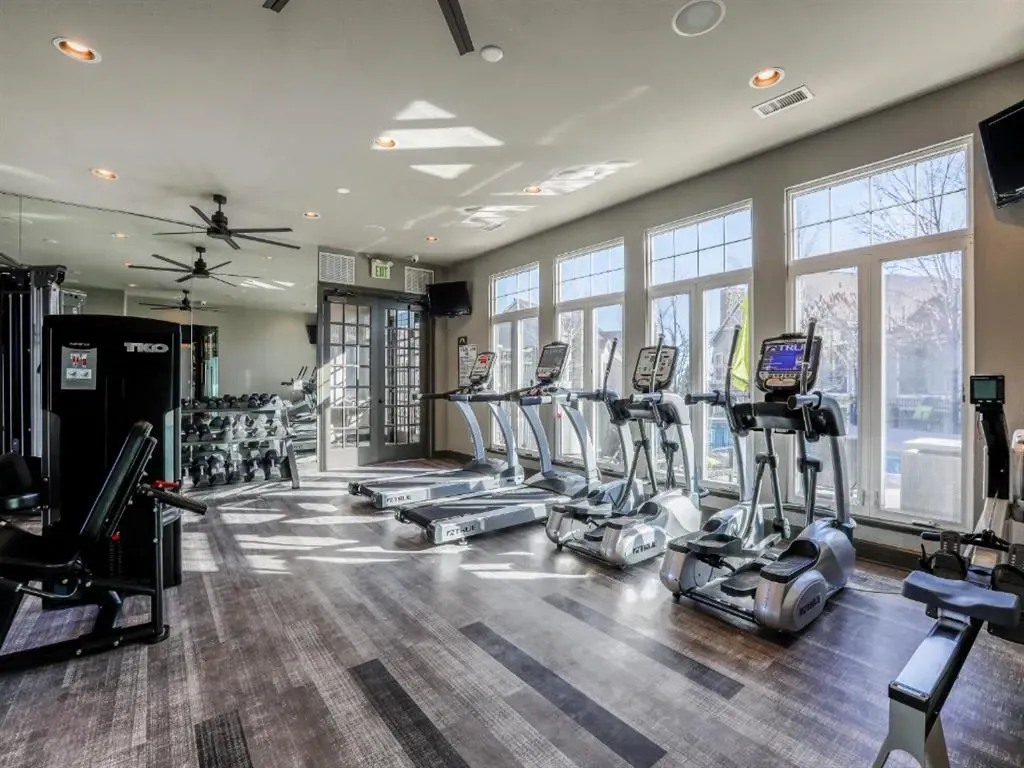 Treadmills and elliptical machines in a well-lit fitness center with large windows.