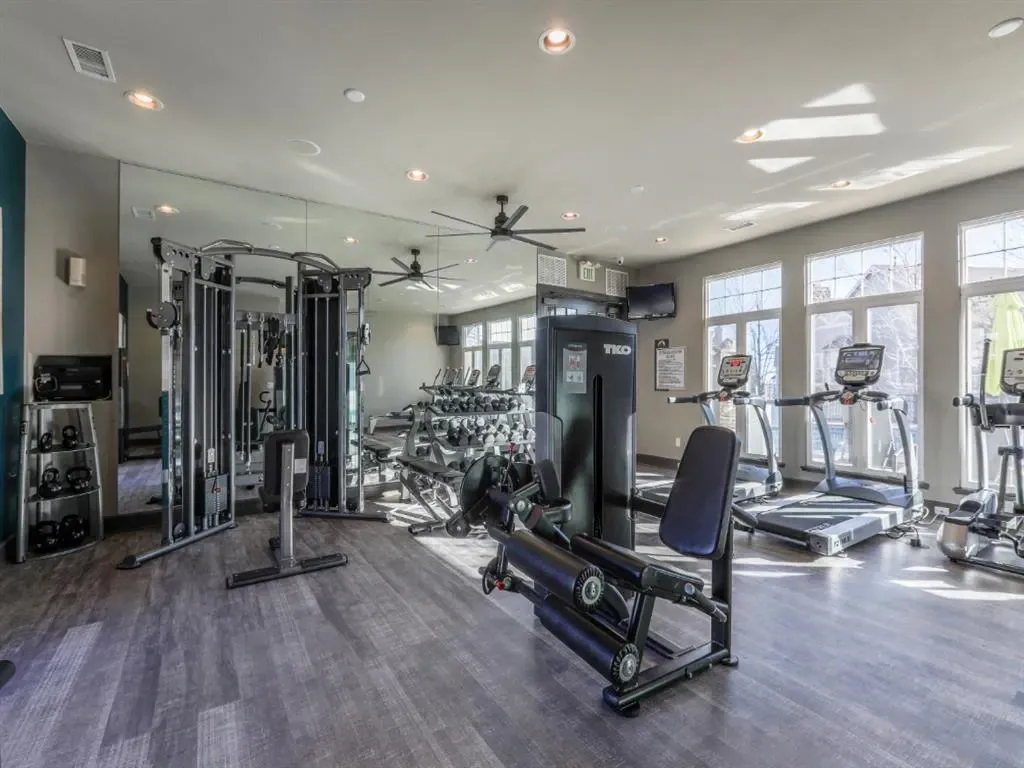 Gym with treadmills, weight machines, and free weights.