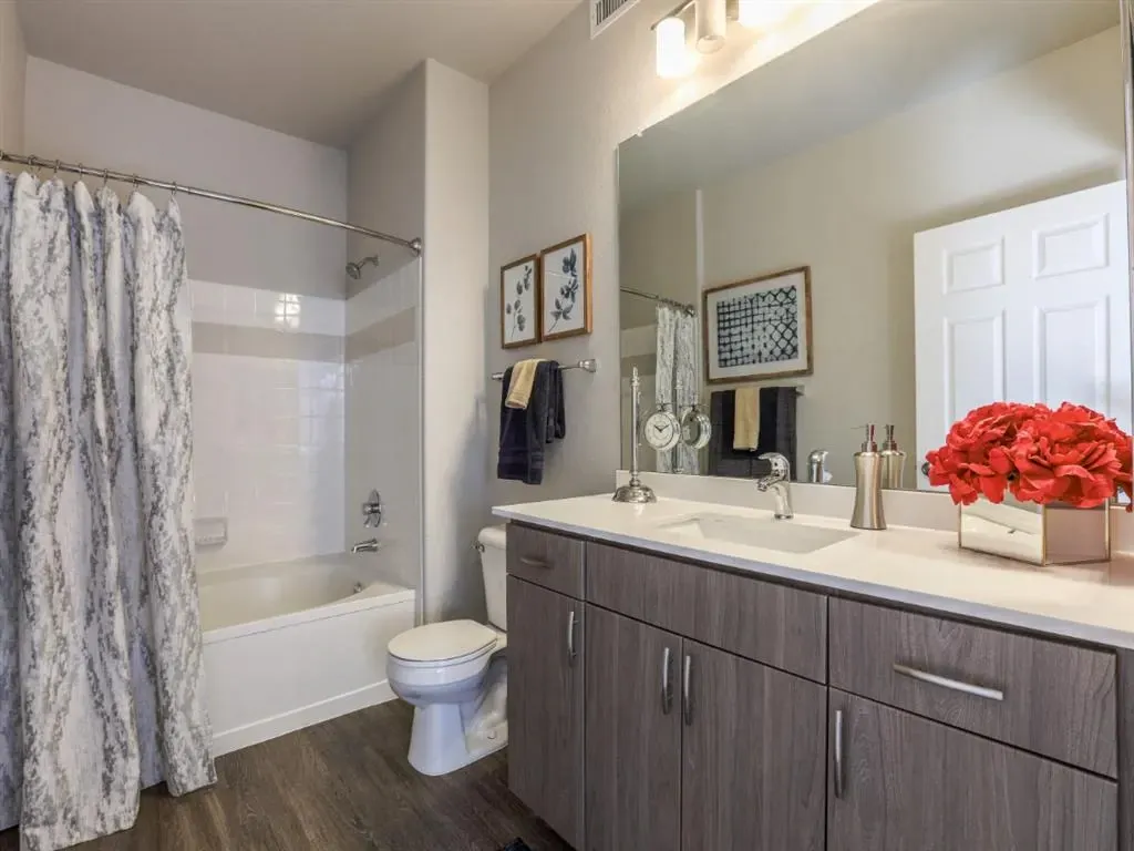 Modern bathroom with vanity, sink, toilet, and bathtub with shower.
