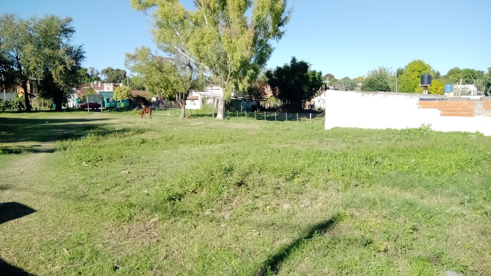 Un parque soleado y cubierto de césped, con árboles y una pequeña estructura blanca al fondo.