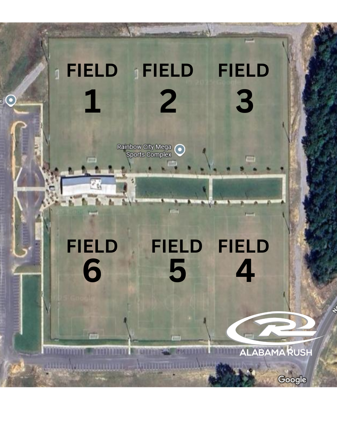 RBC Field Layout