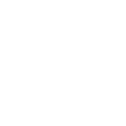 dog bone icon