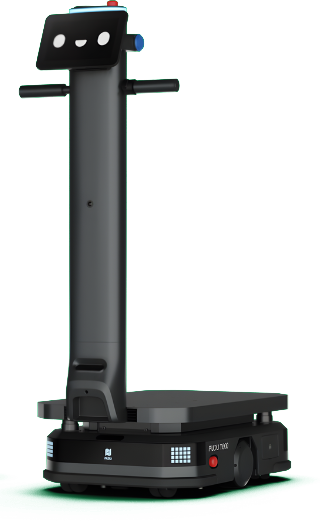 Pudu T300