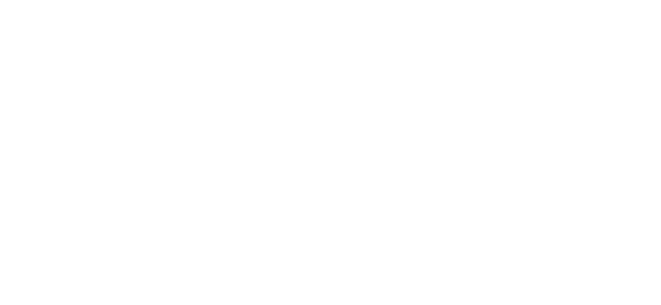 Mostly blank white image with a thin light-blue horizontal line near the bottom and a small dark mark in the center.