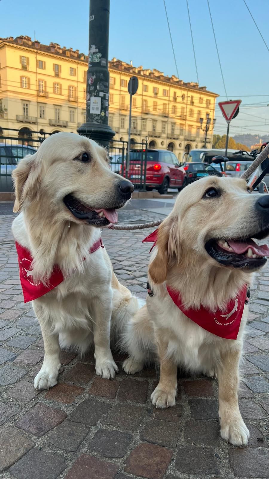 Honey e Molly al raduno Golden