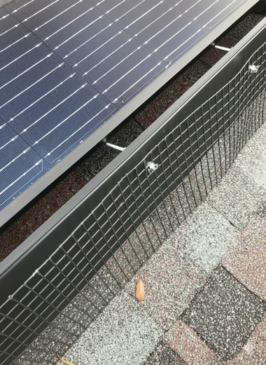 Solar panel with wire mesh rodent guard installed on roof.