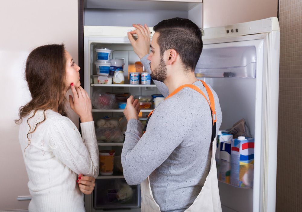 Repairman Explaining The Problem In A Refrigerator To A Women — Appliance City in Lake Cathie, NSW