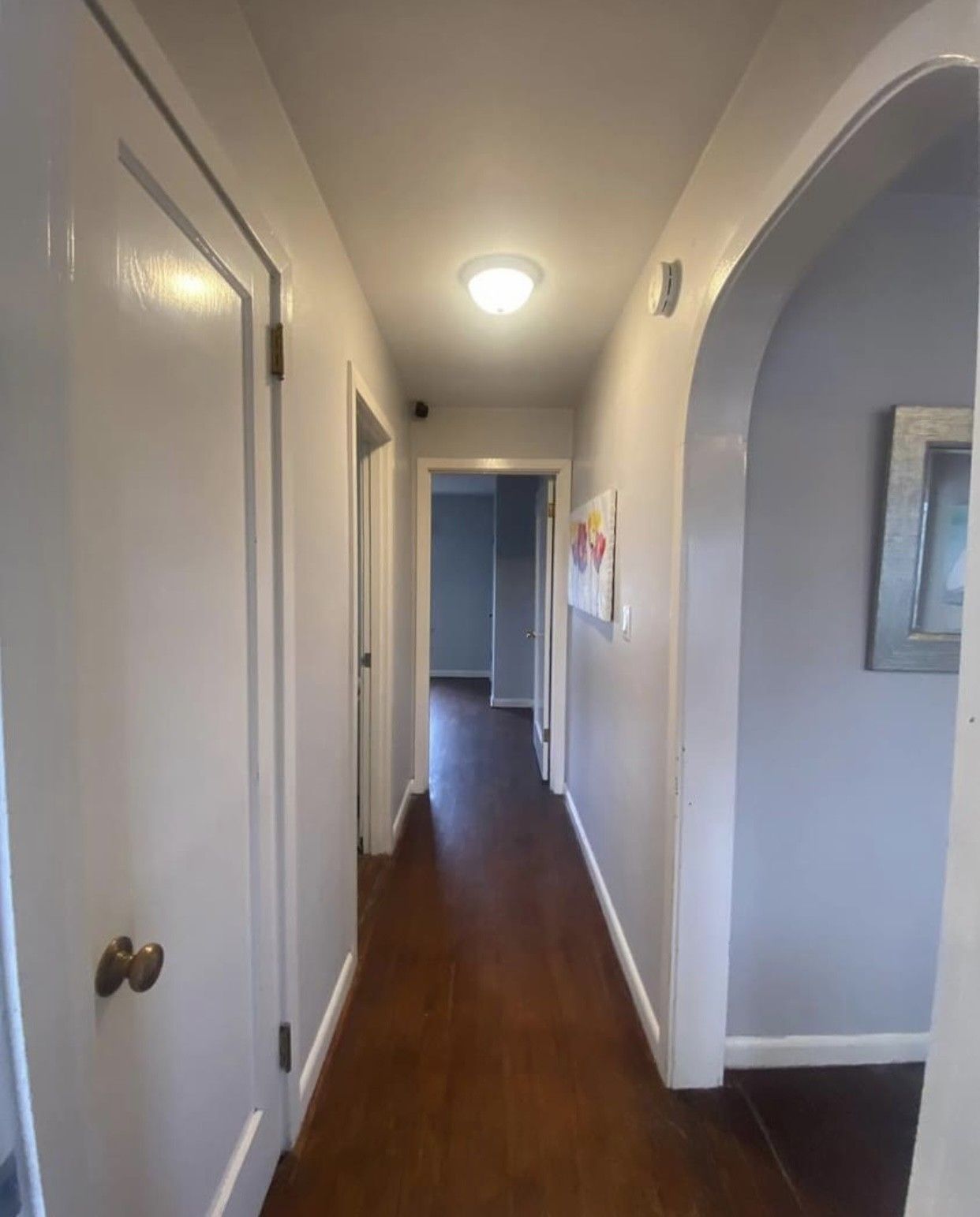Hallway with wood floor, gray walls, white doors and archway, and a single light fixture.