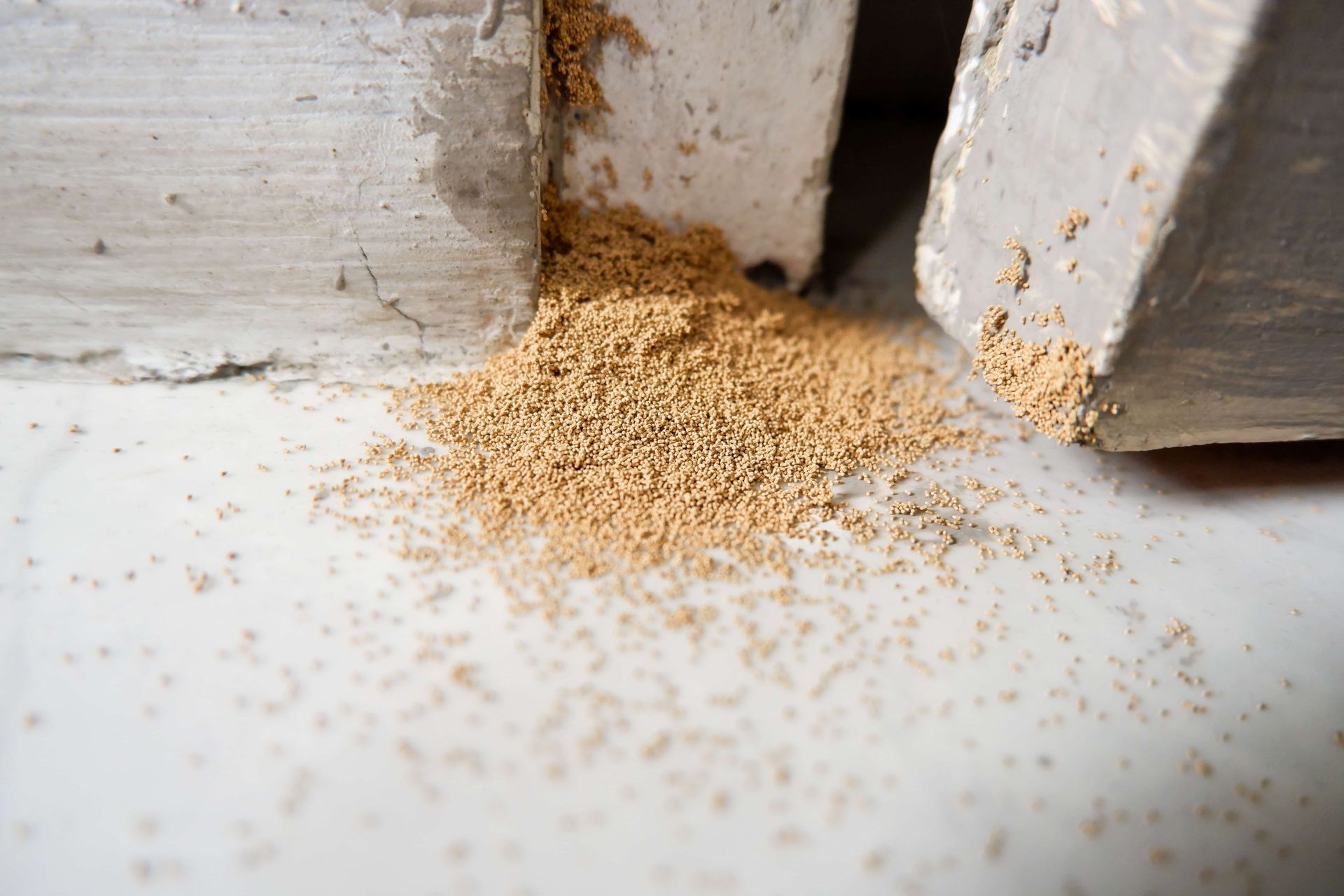 A pile of termites droppings on a white surface.