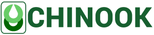 Chinook Consulting Services Logo