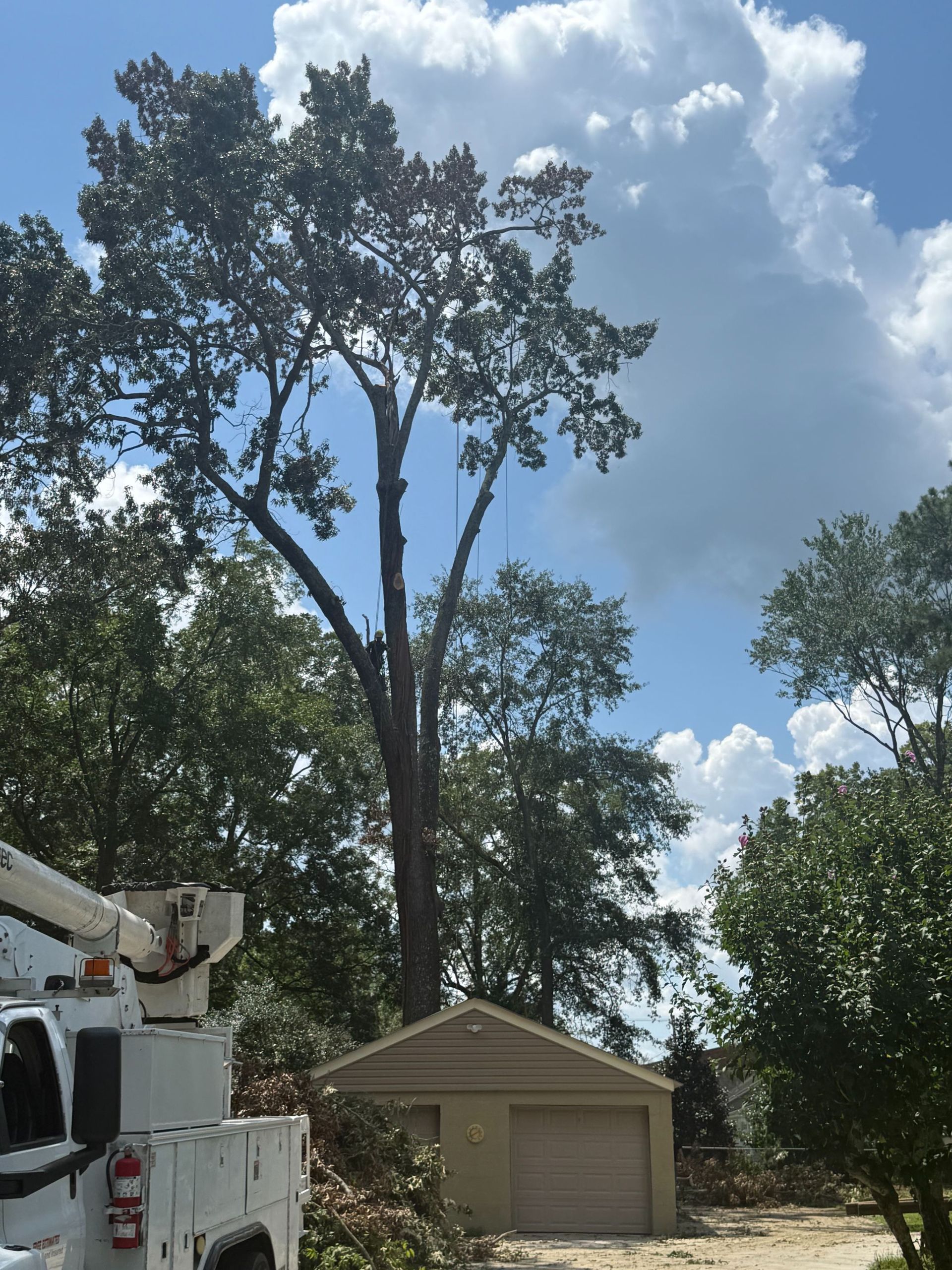 Tall trees behind a small beige garage, with a white utility truck at left under a cloudy blue sky