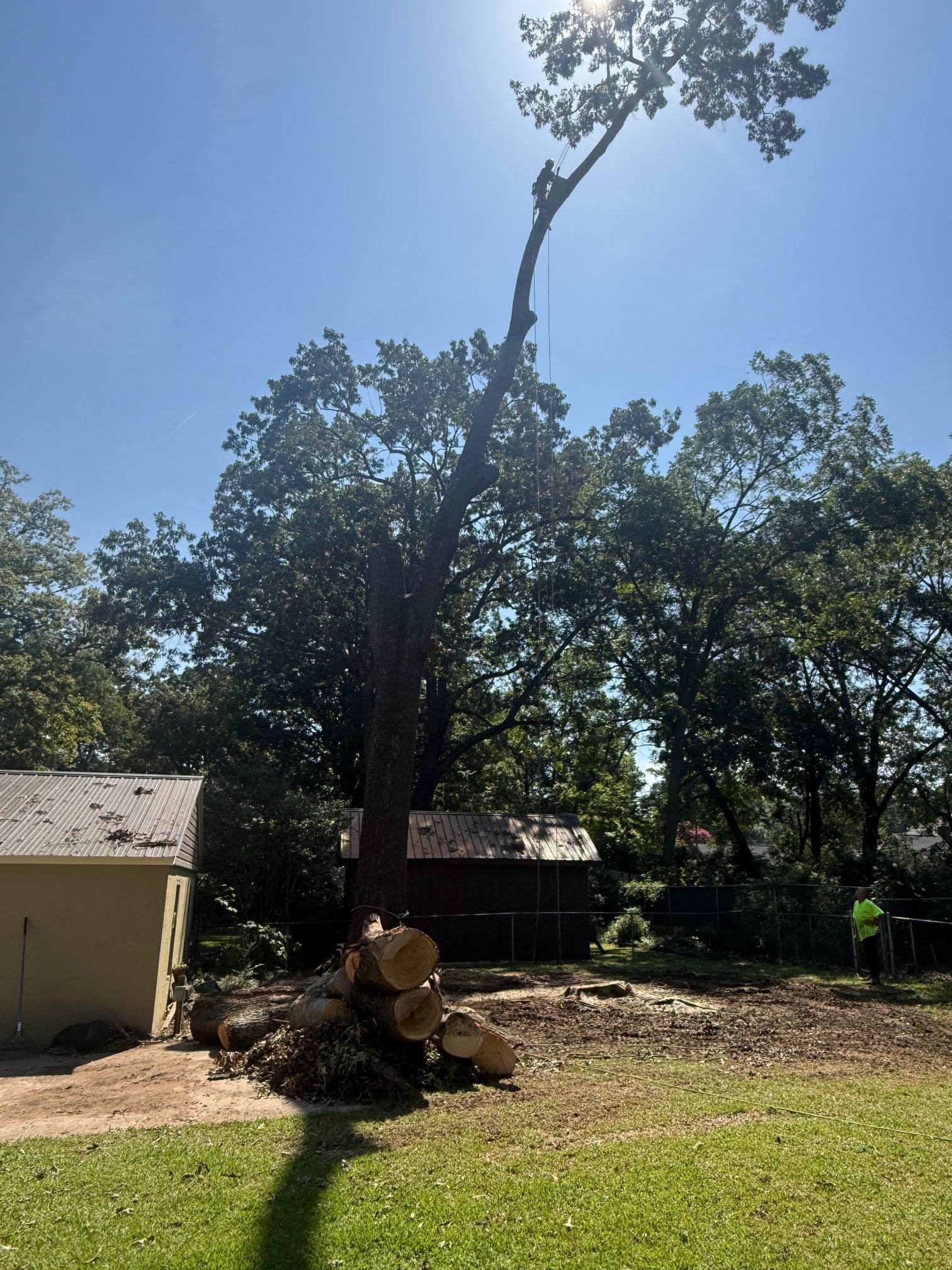 Tree stump after a large tree has been cut down beside a house and garage on a sunny day