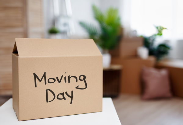 A cardboard box labeled Moving Day on a table