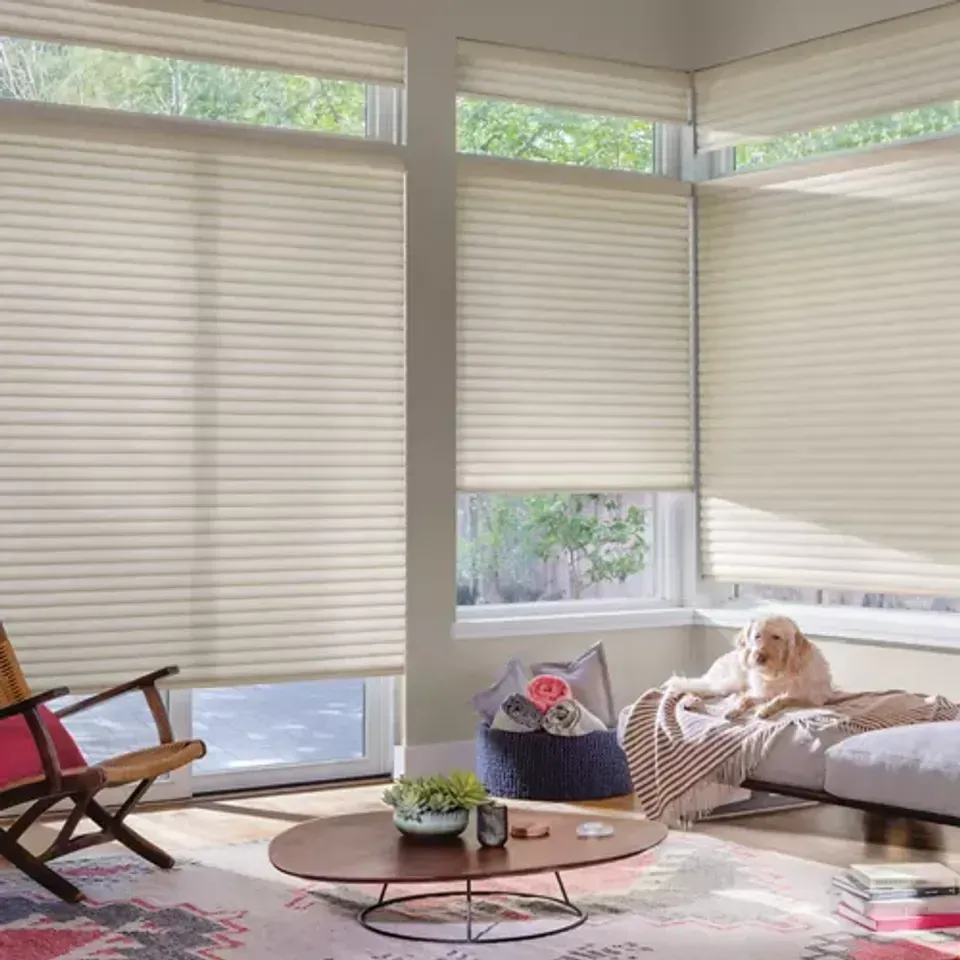 Textured beige cellular roller shades for soft daylight control