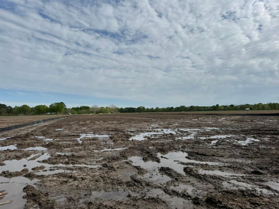 Flooded muddy field under a cloudy sky with shallow puddles and distant trees.