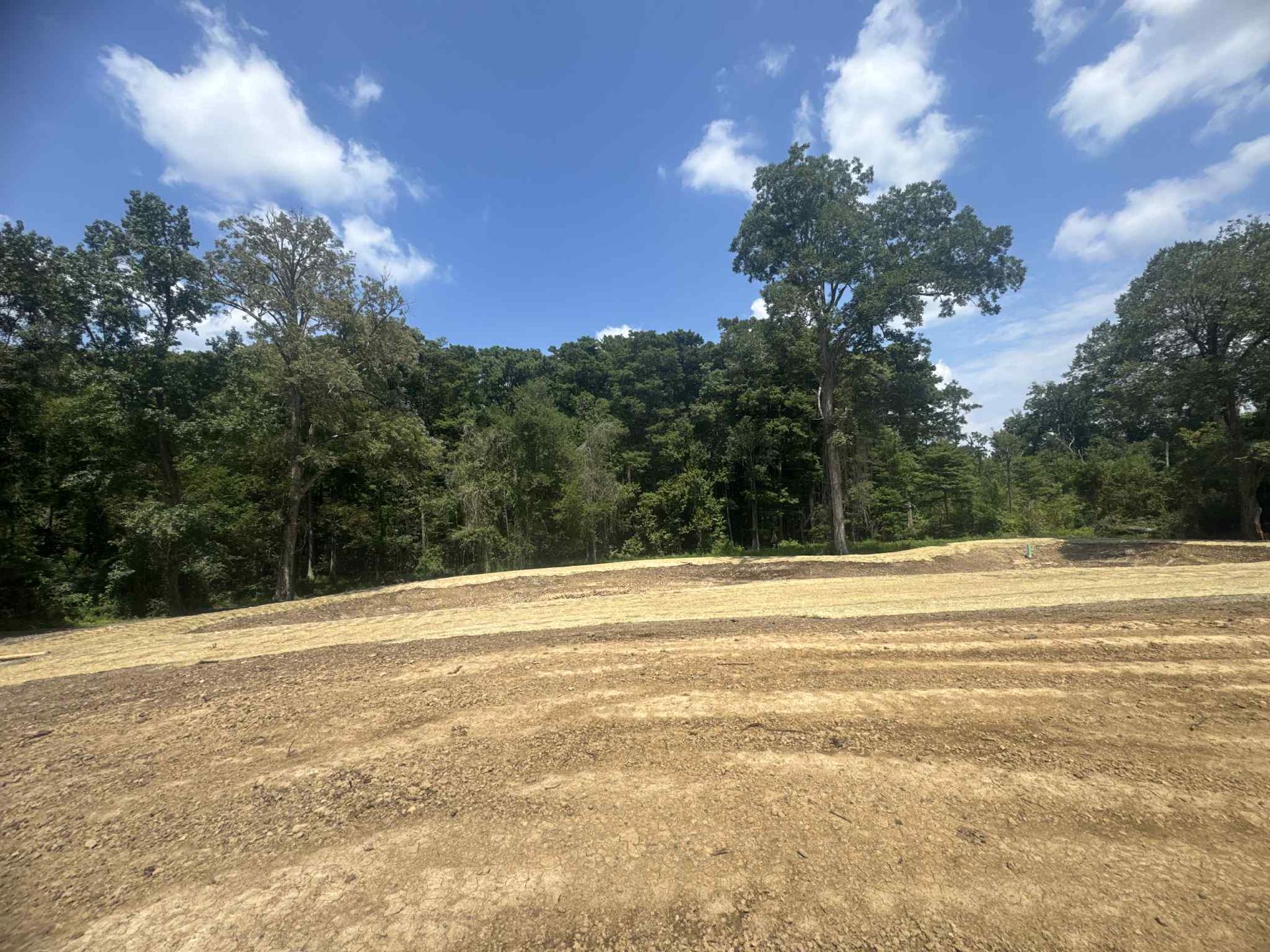 Freshly graded dirt field beside a tree line under a bright blue sky with scattered clouds