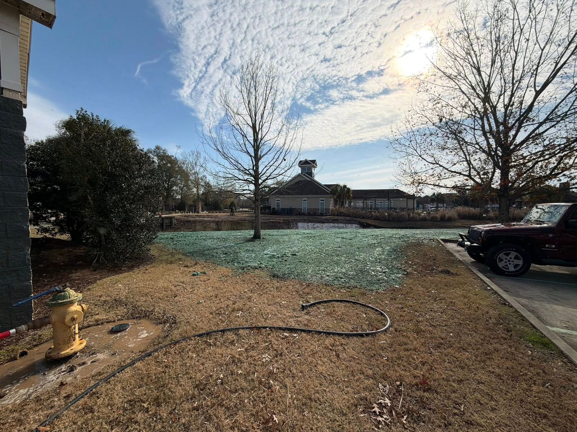 Winter yard with bare trees, frost-covered grass, a hose on the ground, and a parked car under a cloudy sky
