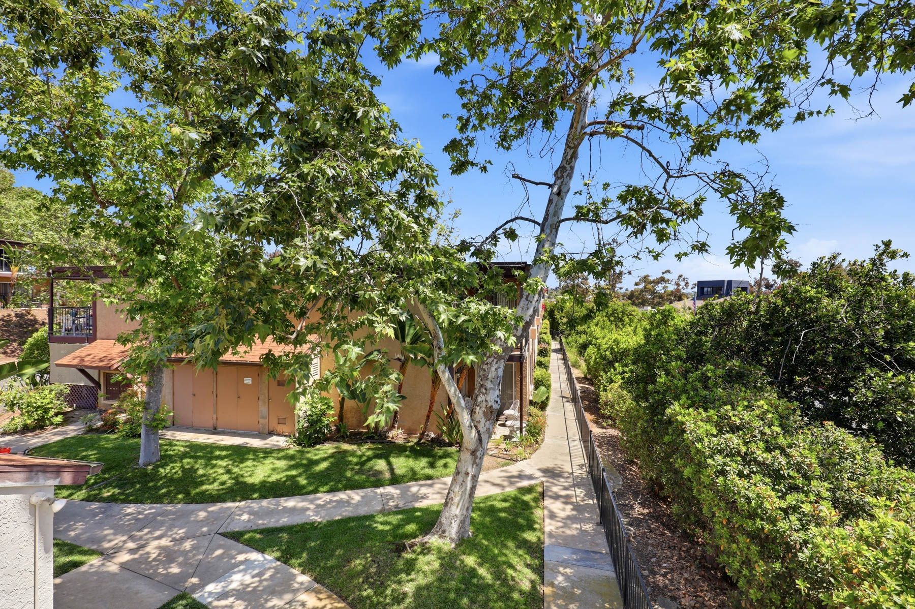 Tree-lined garden path beside a small building and hedge under a blue sky