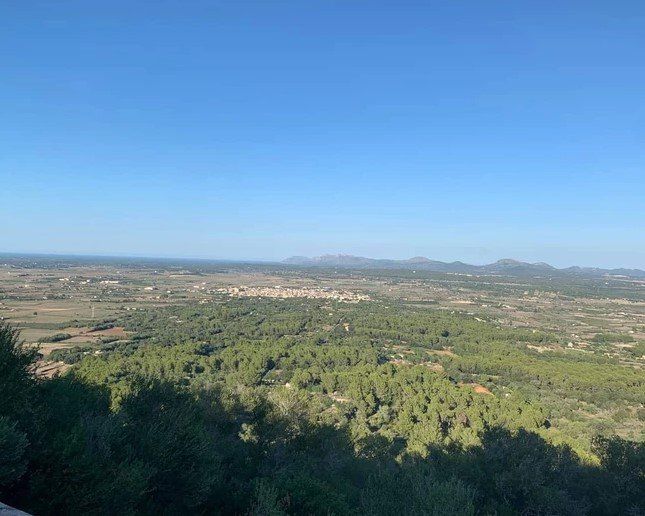 Amplio paisaje con árboles y un pueblo bajo un cielo azul claro.