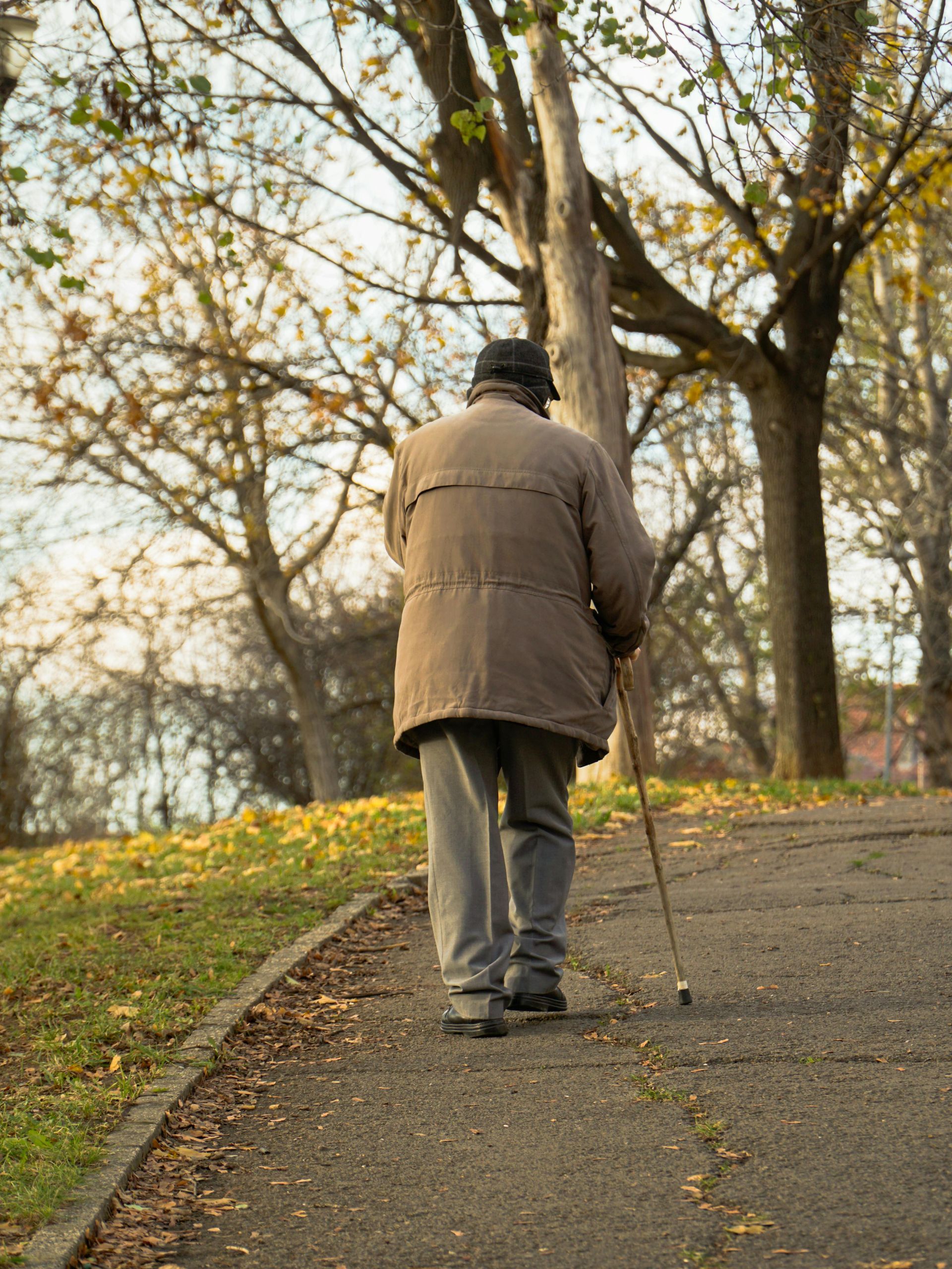 Person walking with a cane on a tree-lined park path in autumn