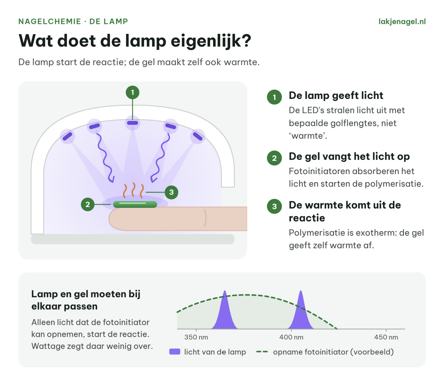 Infographic in Dutch explaining how a lamp works, with circuit diagram and light output graph.