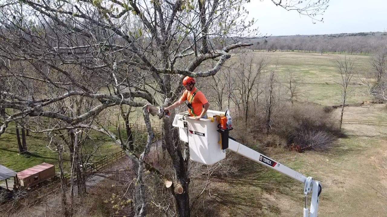 Parsons & Son Tree Service Tree Removal in Benton