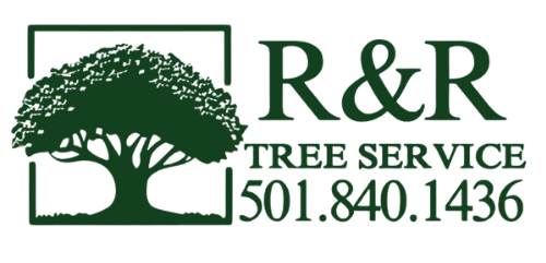 Logo for R&R Tree Service with a tree silhouette in a green box and phone number.