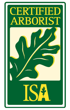 residential tree services, commercial tree services, parson and sons tree service, Arkansas tree services