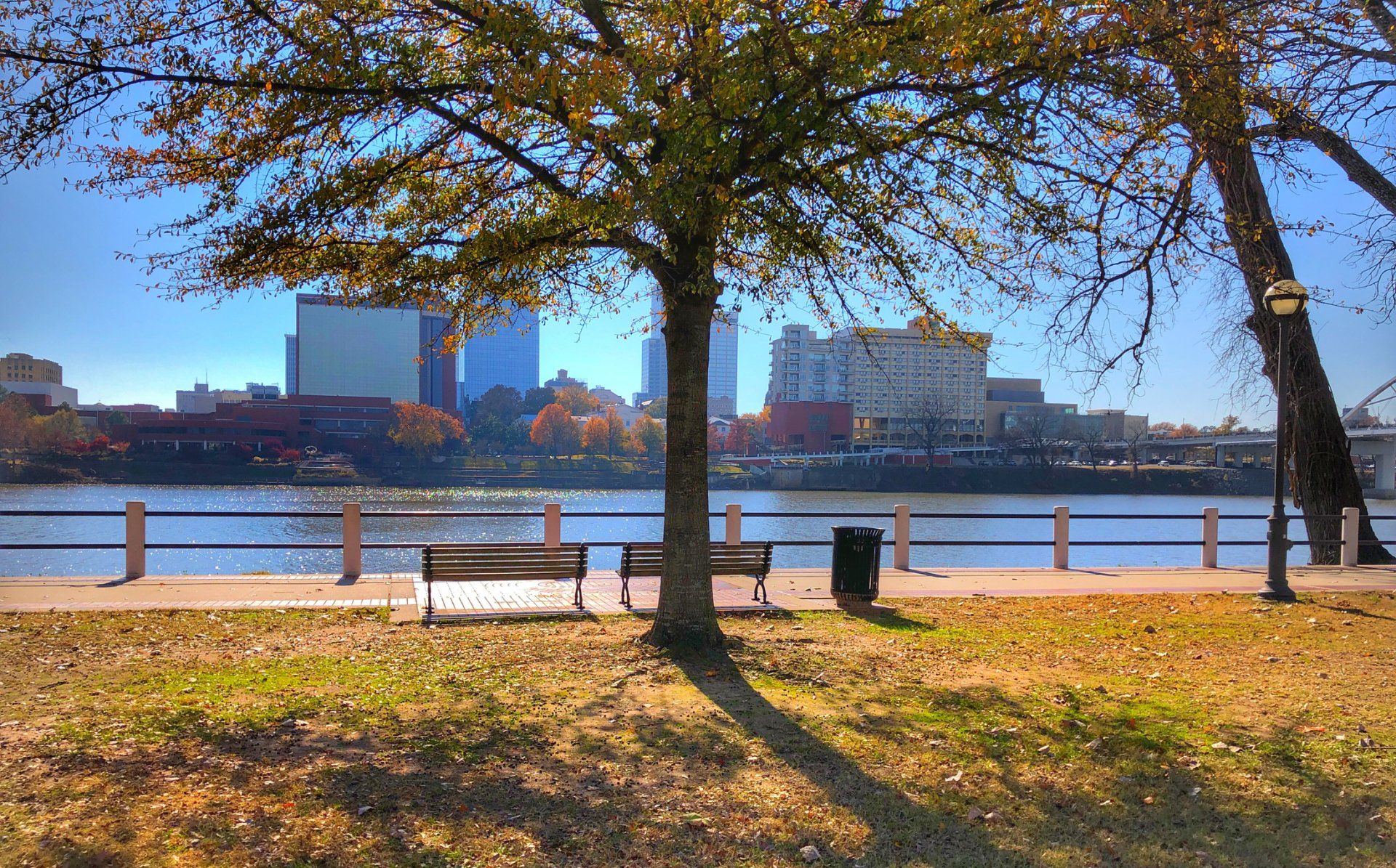 A tree shades a park bench beside a river with city buildings in the background on a sunny autumn day.