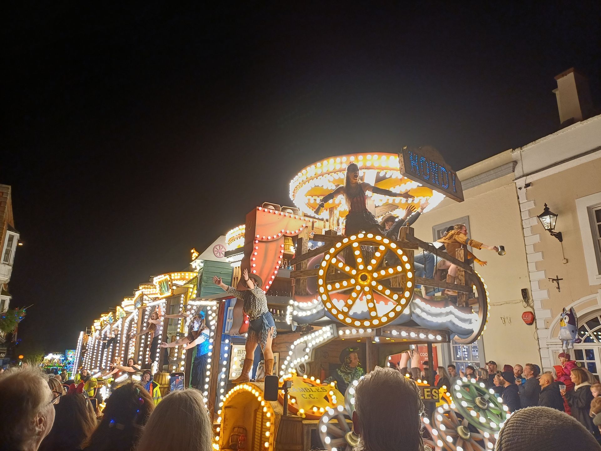 Dogs watching Glastonbury Carnival illuminated floats