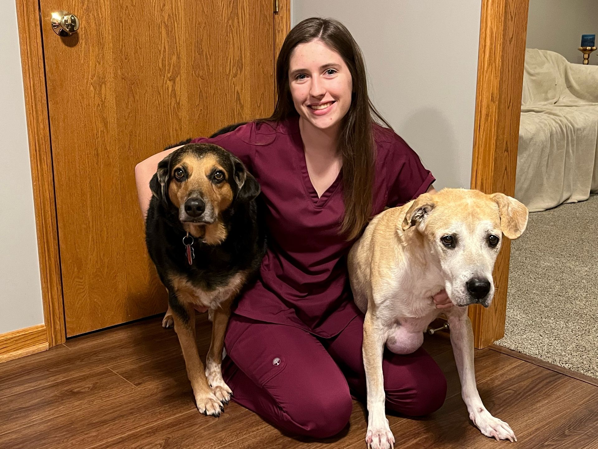 Vet Staff Canton, OH Market North Veterinary Hospital