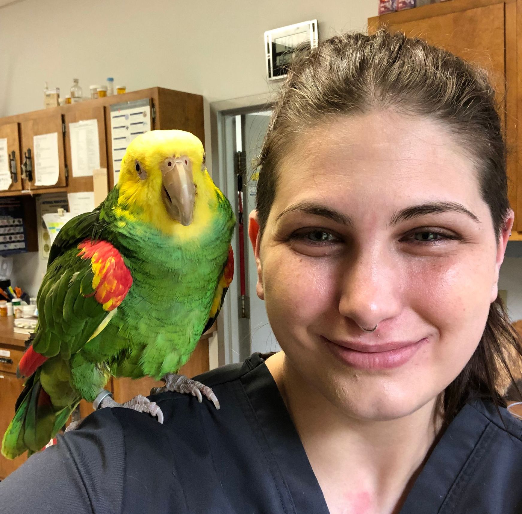 Vet Staff Canton, OH Market North Veterinary Hospital