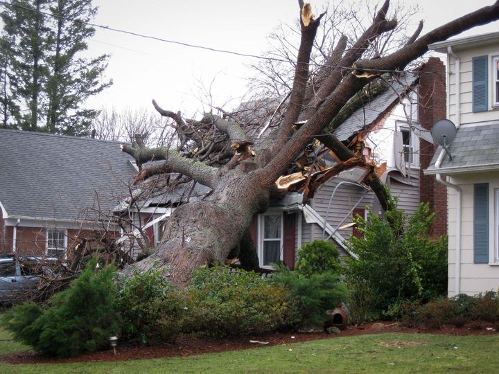 a large tree has fallen on top of a house .