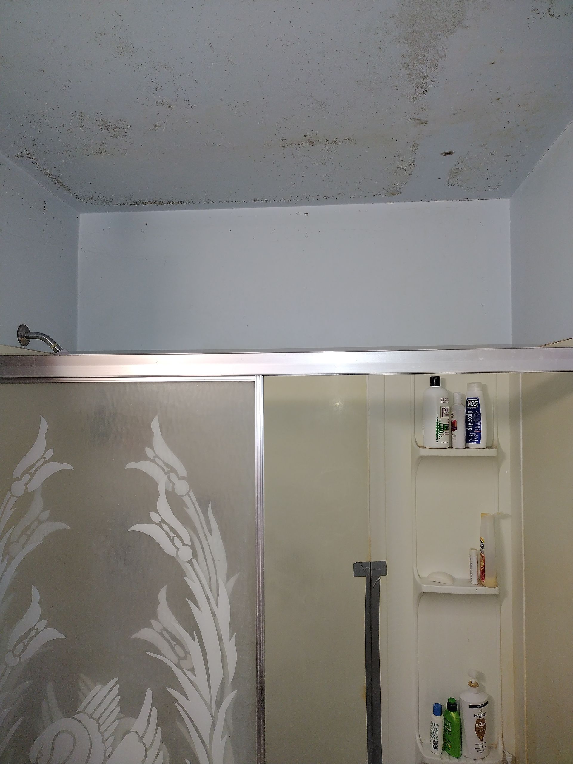 A bathroom with a sliding glass shower door with a floral design on it.