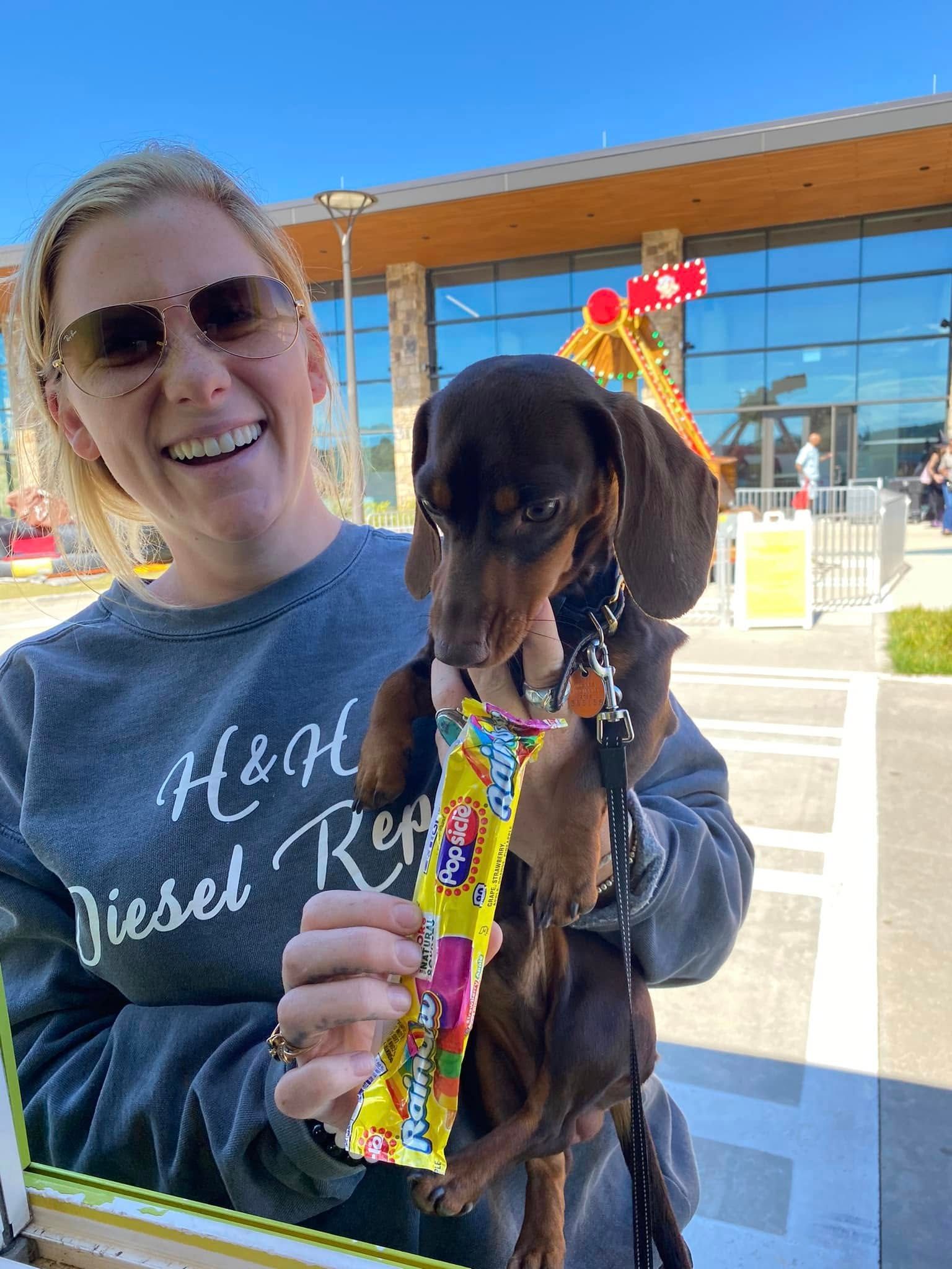 A smiling person holds a brown dachshund in front of a modern glass building while offering it a yellow treat.