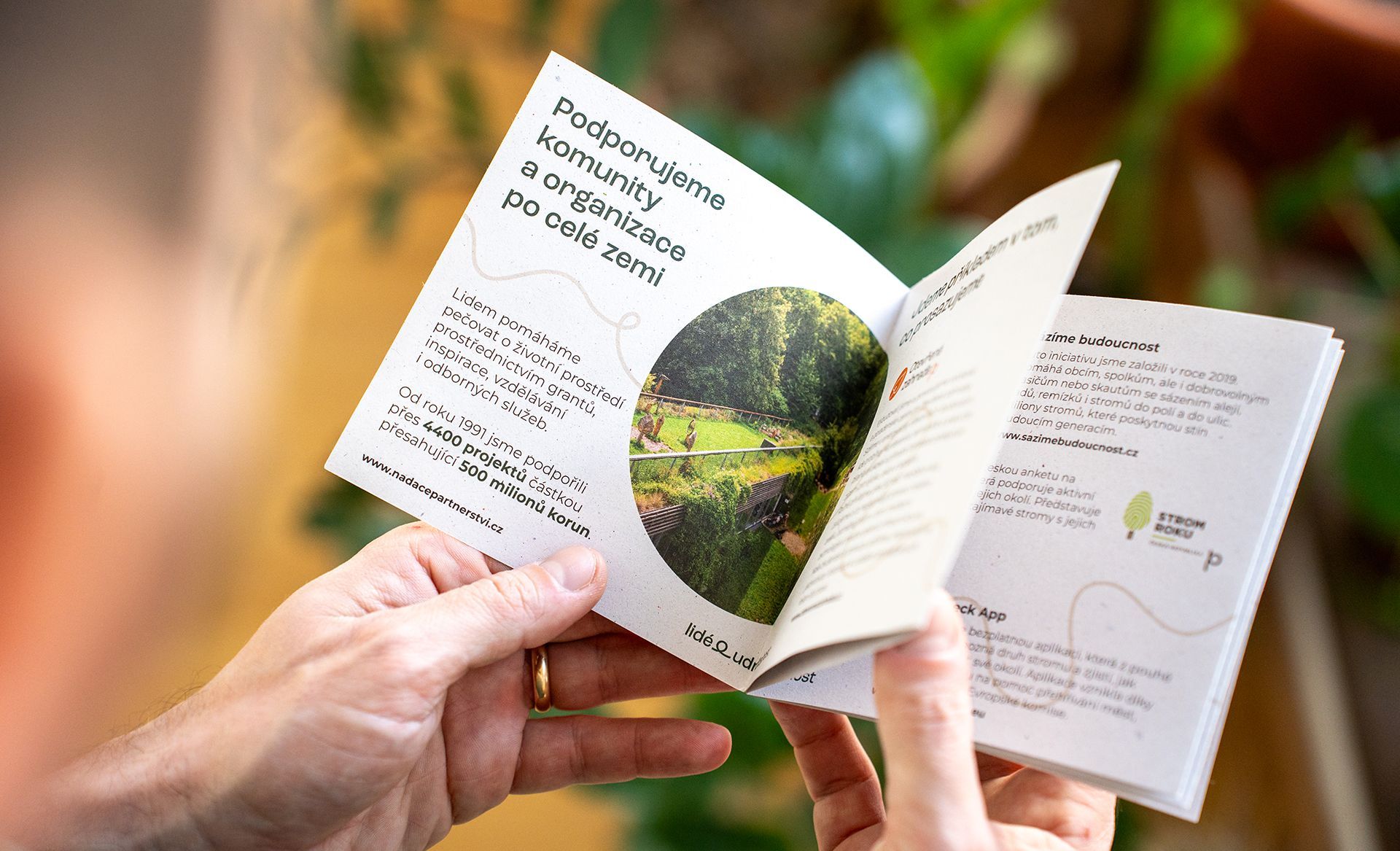 Ruce držící otevřenou malou brožuru s fotografií a textem zelené krajiny, venku s rozmazaným pozadím