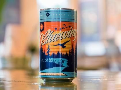 flyway blueberry