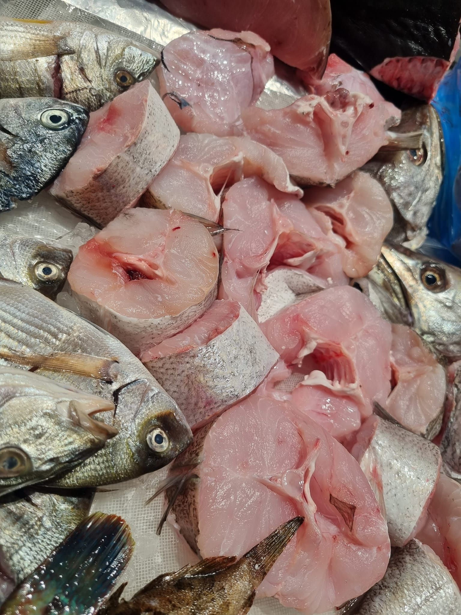 pesce fresco 4
