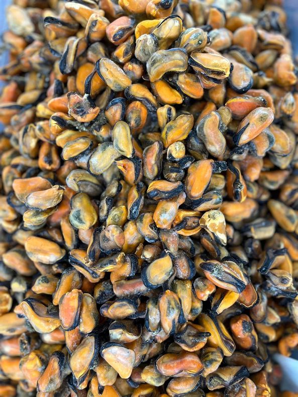 cozze surgelate