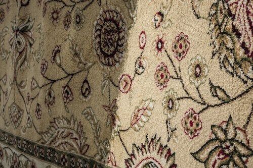 Carpet cleaner.