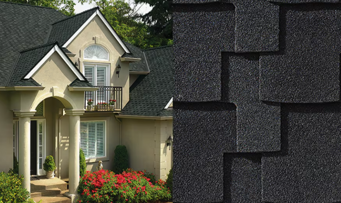 Une maison avec un toit en bardeaux noirs, un bardage beige et un buisson à fleurs rouges devant.