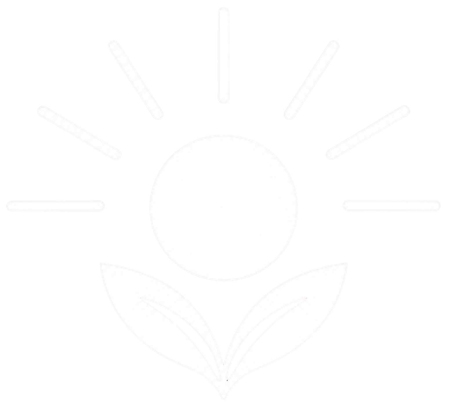 Minimal white line drawing of a sun over a plant with two leaves on a white background