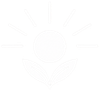 Minimal white line drawing of a sun over a plant with two leaves on a white background