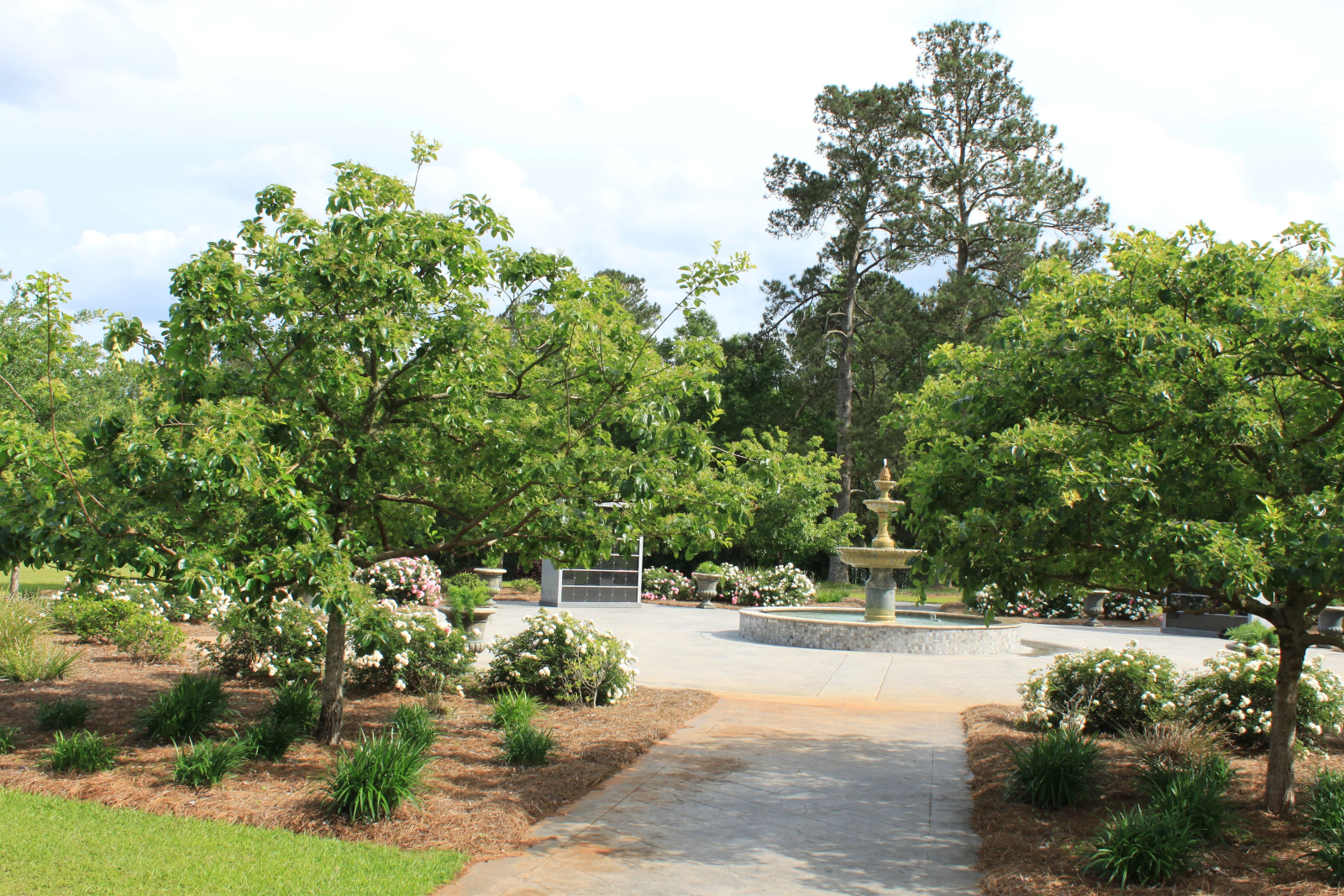 A fountain in a park with trees in the background