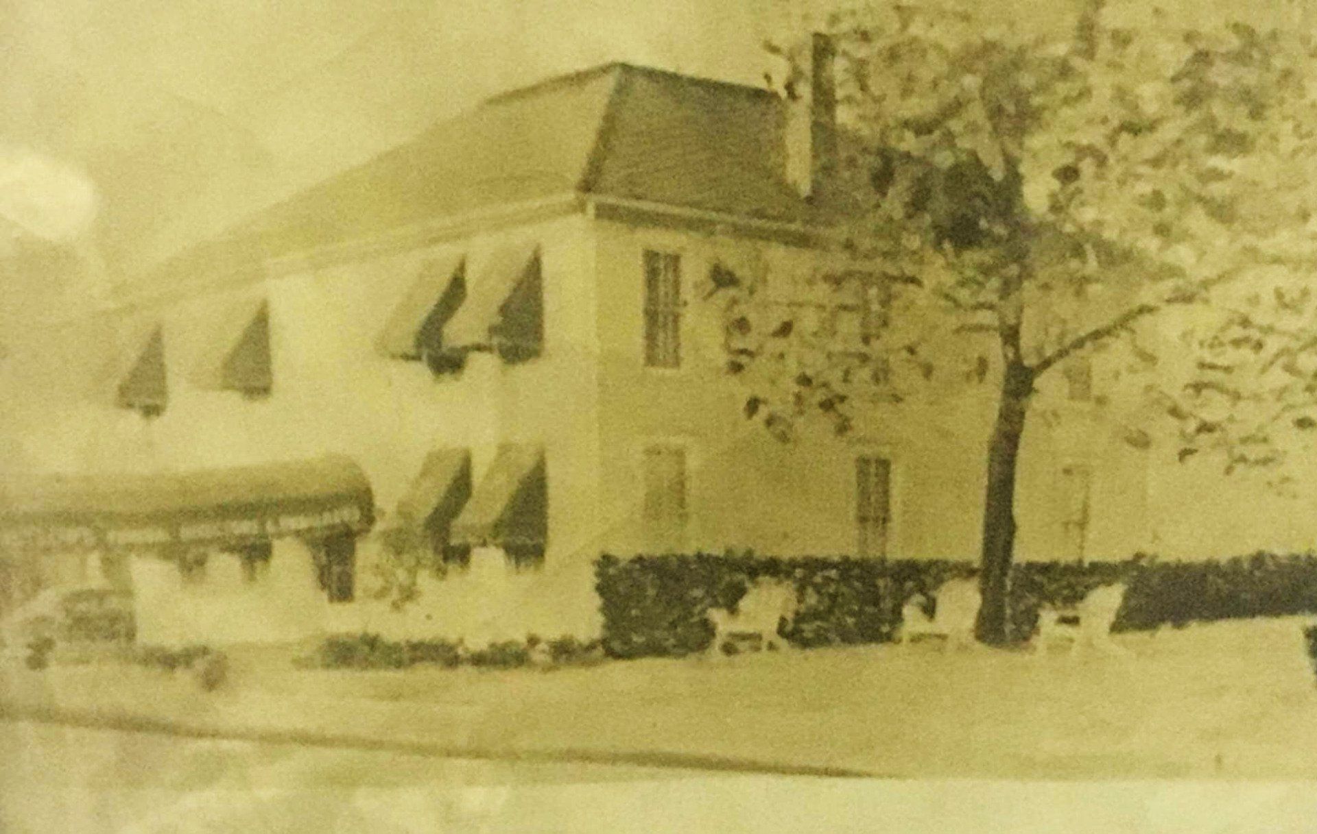 section-image