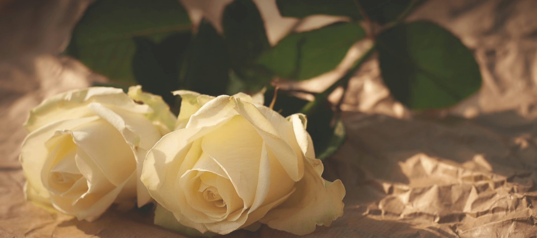 Send Flowers